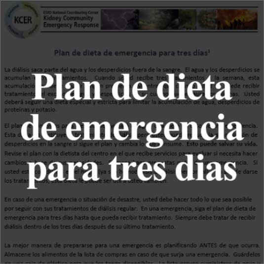 emergency-information-spanish-pdf