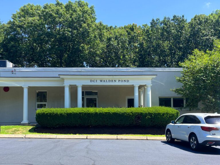 WaldenPond Concord MA 216 768x576